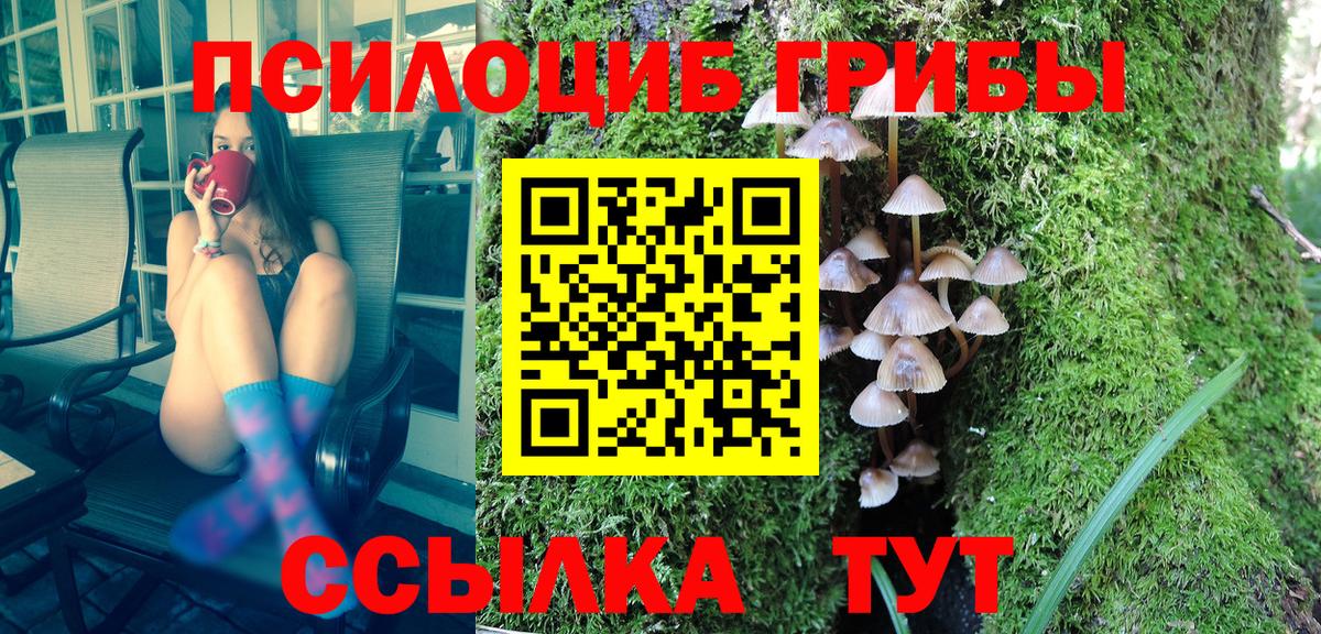 Галлюциногенные грибы MAGIC MUSHROOMS Волжский